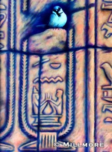 Dendara-Wall1  