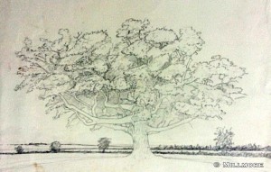trees10  