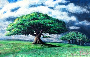 trees12 