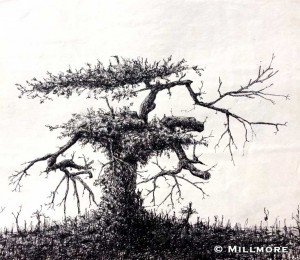 trees2    