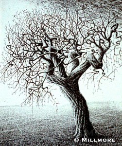 trees5    