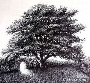 trees8  