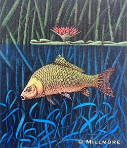 Crucian-Carp    