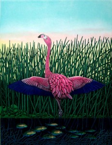 Flamingo Flamenco        