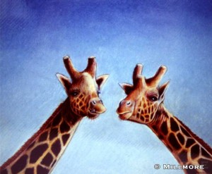 Giraffe of the Masai Mara  