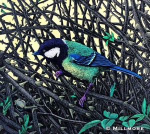 Great Tit   