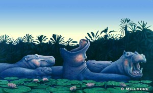 Hippos        