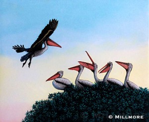 Hungry Pelicans 