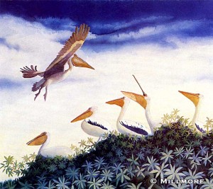 Hungry-Pelicans       