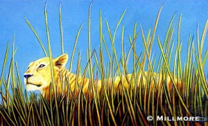 Lioness       