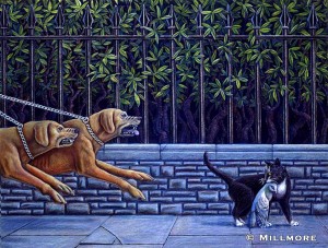 Raining-Dogs-and-Cat        