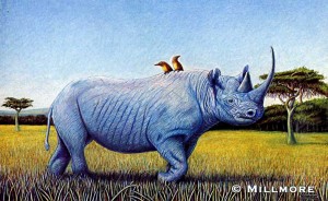 Rhino       