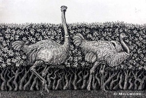 ostrich-Etching  